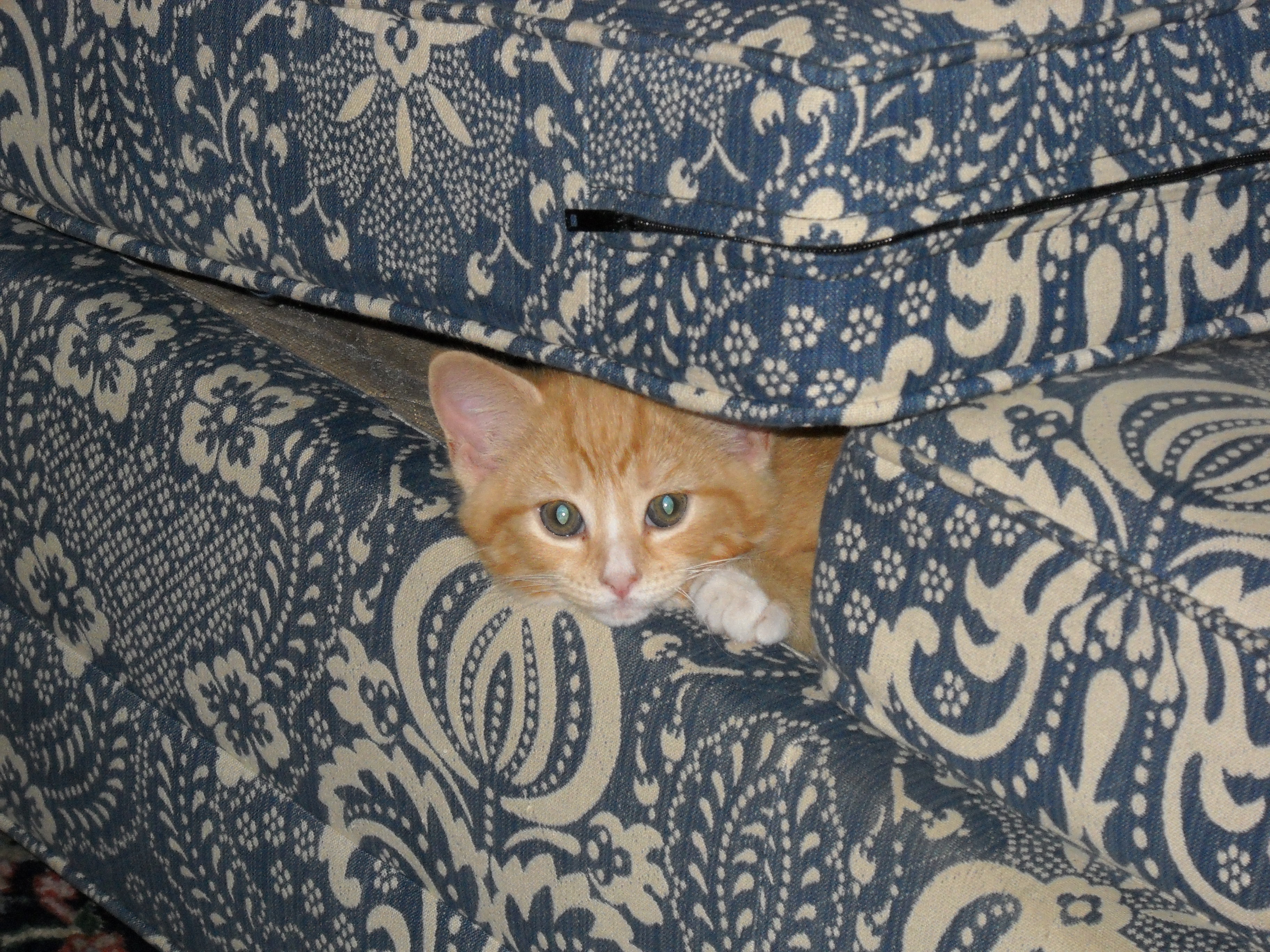 kath's kool korner!!!